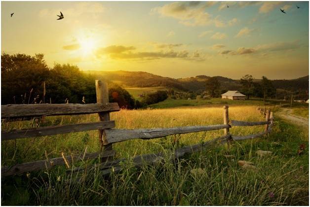 отсутствие шума - преимущество жизни в деревне