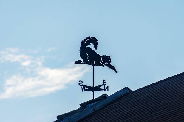флюгер в форме кота на крыше дома