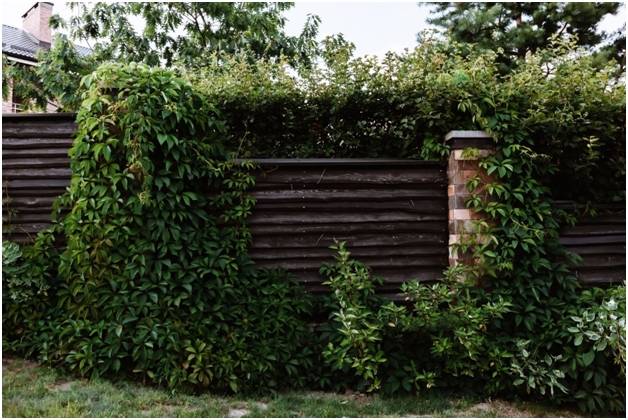 деревянный забор с кирпичным столбом