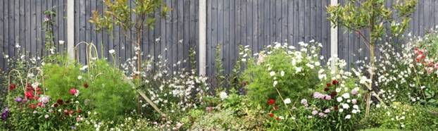 белые столбы для забора