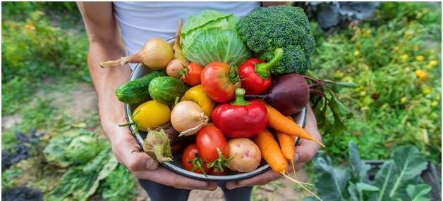 натуральные овощи и фрукты в деревне с грядки