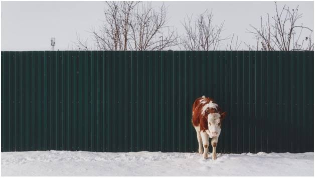 профлист для строительства забора