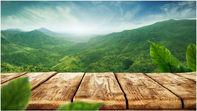 чистая природа в деревне без промышленности