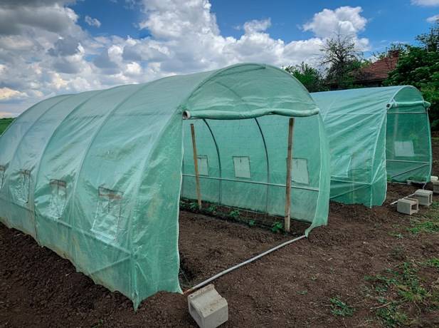 простое решение для покрытие теплицы - использование полиэтиленовой пленки 