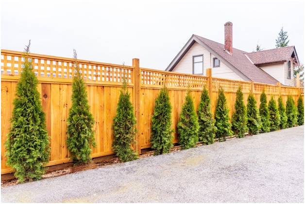 дерево как ограждающий материал