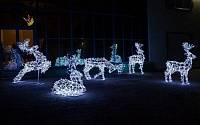 Рождественский экипаж из 5 световых оленей