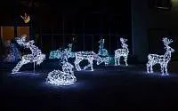 Рождественский экипаж из 5 световых оленей